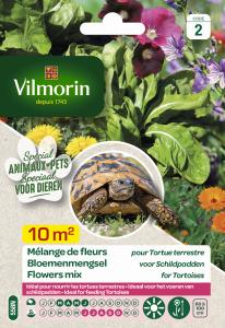 Mélange de fleurs pour Tortues Terrestres